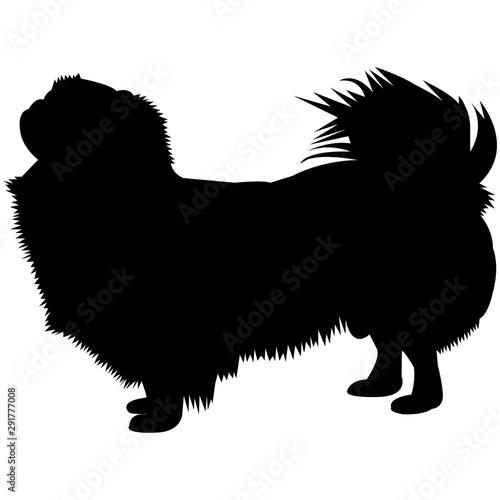 Tibetian SPaniel  Silhouette Vector