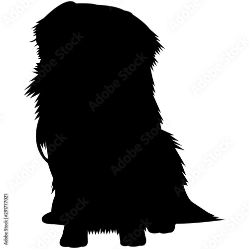Tibetian SPaniel  Silhouette Vector