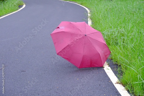 A red embrella on wet road at the park with green grass background in the rainy day