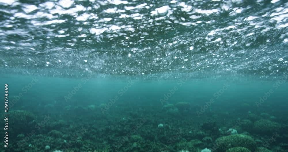 Ocean waves over coral reef, slow motion Ocean waves over coral reef, slow motion