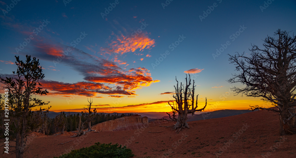 Clouds and Bristlecone Pine at Sunset in Cedar Breaks National Monument
