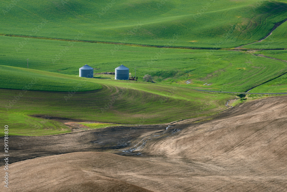 View of the spring fields in the Palouse Hills region of Washington state.