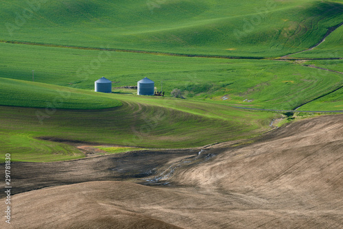 View of the spring fields in the Palouse Hills region of Washington state.