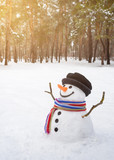 Snowman with a scarf in the park
