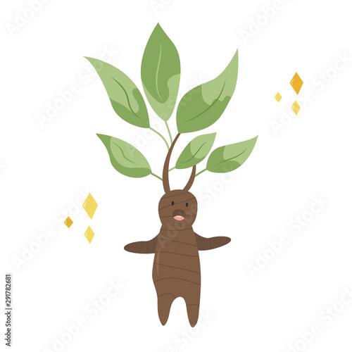 Funny screaming mandrake, a cute character design