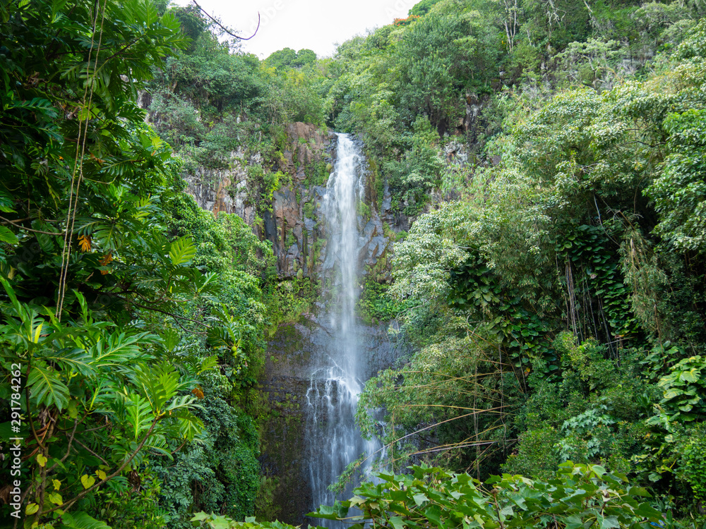 Tropical Hawaiian Waterfall