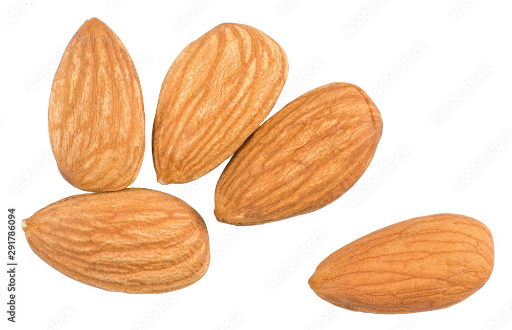 Almond nut isolated on white background, top view Almond nut isolated on white background, top view
