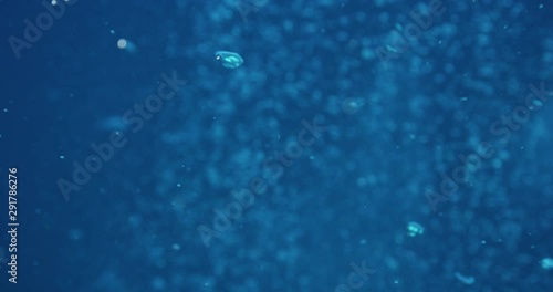 Underwater ocean bubbles, slow motion