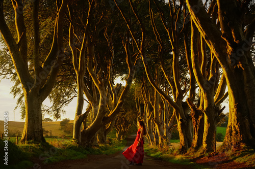 Magical morning light over beautiful model with wavy hairs in red dress in the Dark Hedges, Antrim, Northern Ireland photo