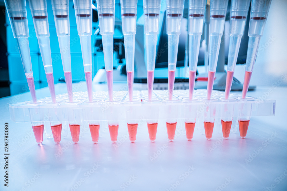 sample of biological sample for DNA analysis sample of biological sample for DNA analysis