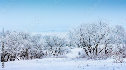 Winter landscape with snowy trees on blue sky background_
