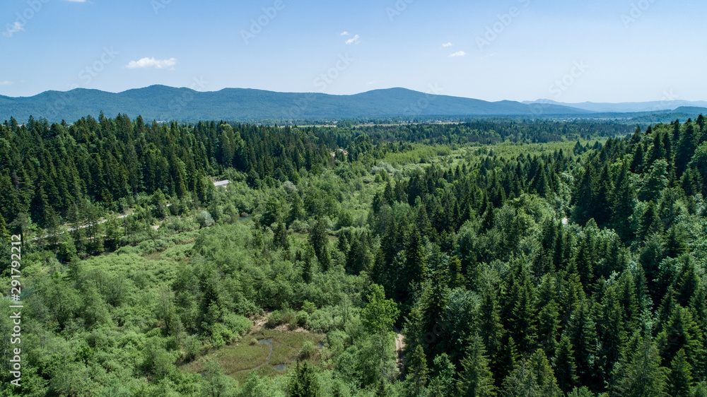 Vertical aerial view of spruce and fir forest (trees) and meadow, Slovenia. Vertical aerial view of spruce and fir forest (trees) and meadow, Slovenia.