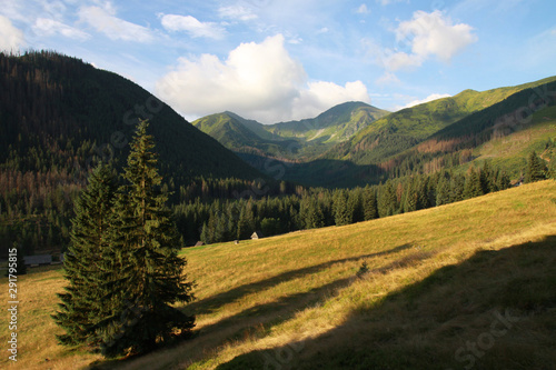 Chocholowska Valley, Western Tatra Mountains, Poland