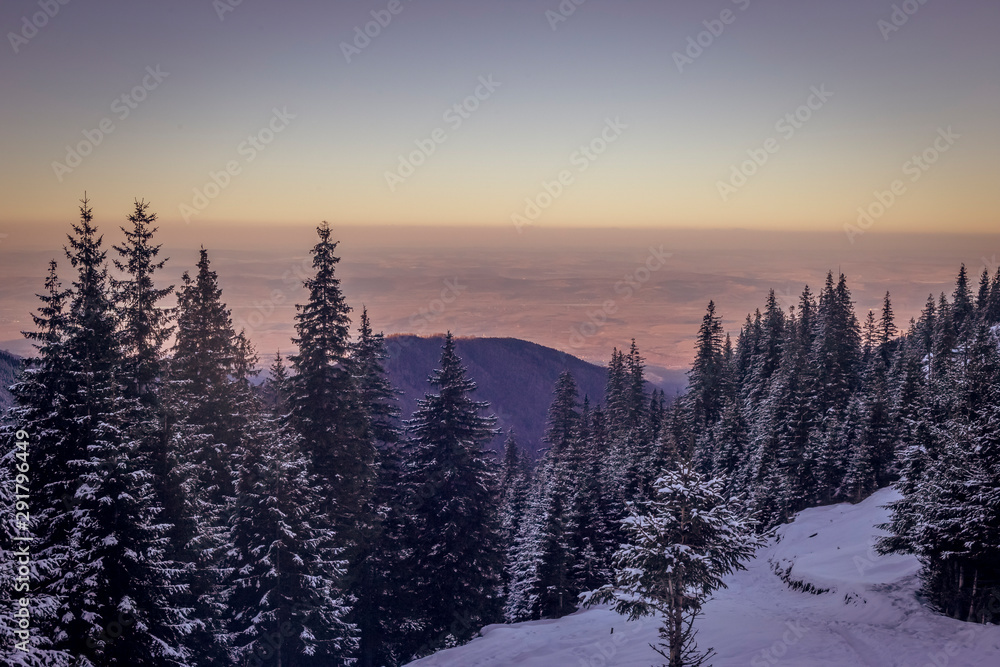Naklejka premium Evening light falling on fields