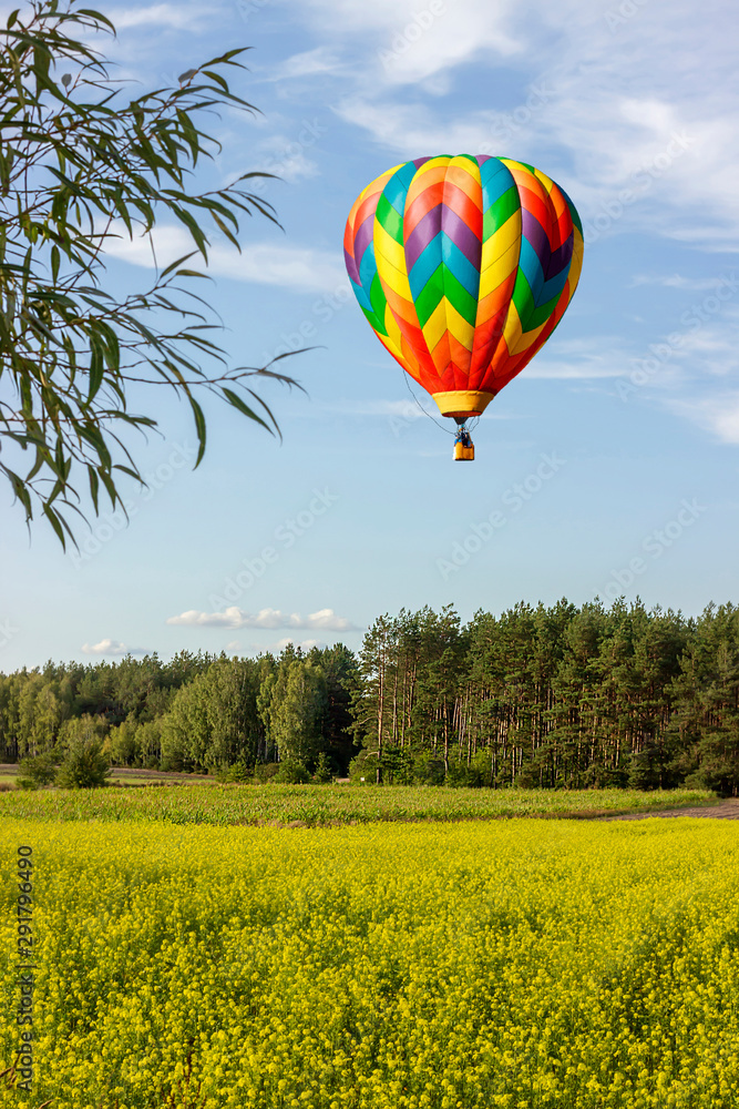 Naklejka premium Romantic balloon flights high above the ground.