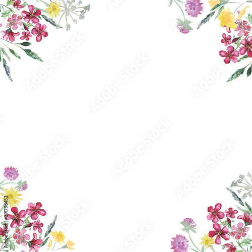 Watercolor frame with wildflower, herbs, leaf. collection garden, wild foliage, flowers, branches. illustration isolated on white background.	