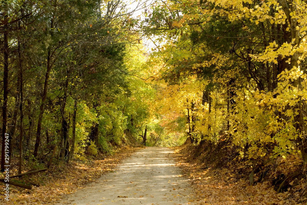 Obraz premium Tennessee Autumn Road