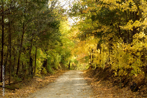 Tennessee Autumn Road