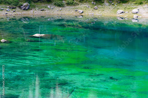 Trasparenze e riflessi nel lago di Carezza