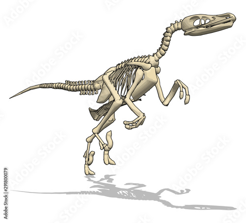Dino skelet, illustration, vector on white background.