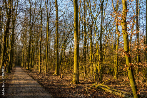 autumn scene with red yellow brown and orange colors the change of seasons