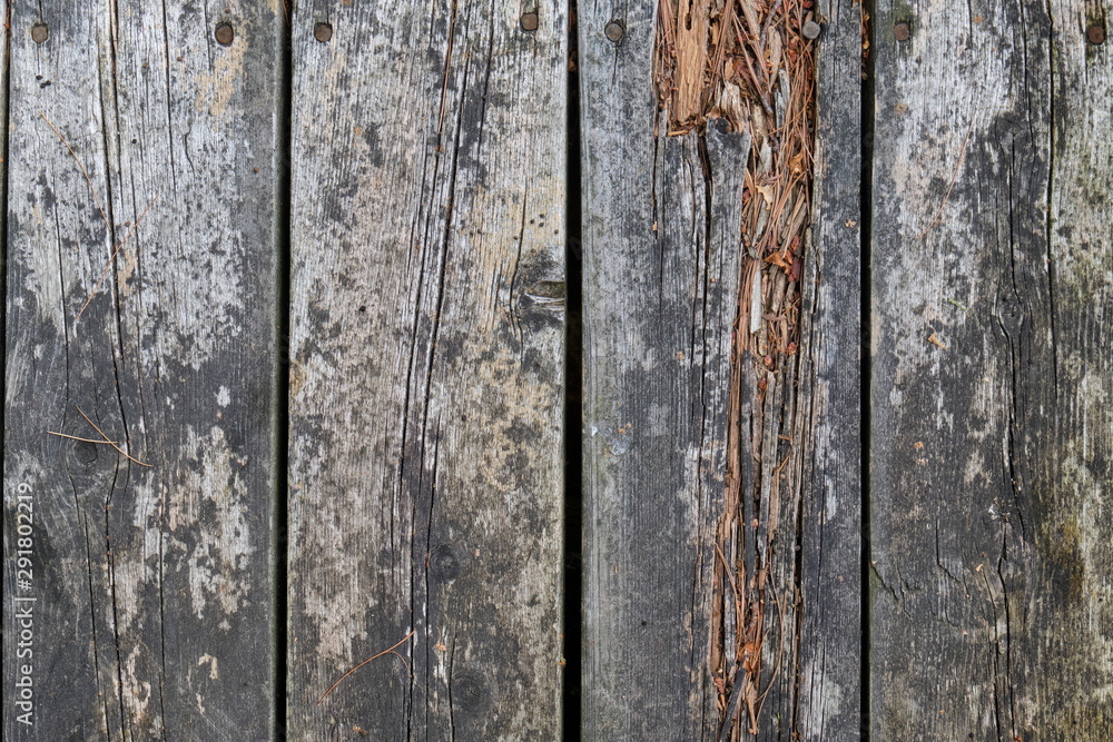 Fototapeta premium Rotting Wood Planks