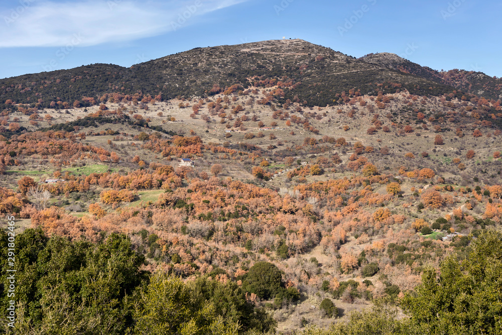 The autumnal  landscape (Peloponnese, Greece)