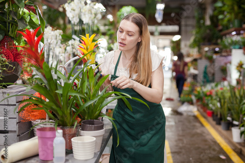 Positive woman picking a bromelia flower in the flower shop