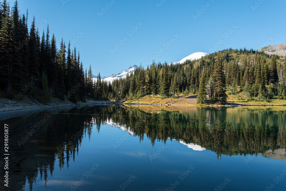 Late Summer in the Mount Rainier National Park 02 Late Summer in the Mount Rainier National Park 02