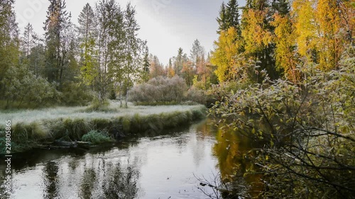 River in forest. Autumn. Sunrise