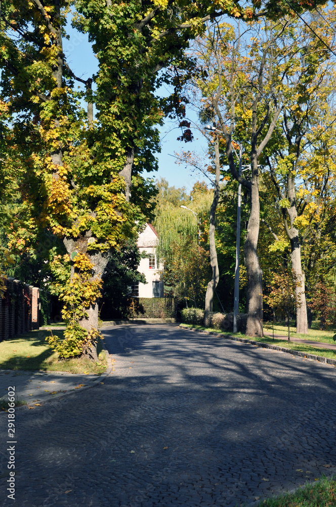 Naklejka premium Autumn landscape of the city Park of Kaliningrad, Russian Federation.