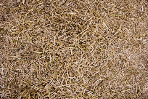 Background photo of loose hay