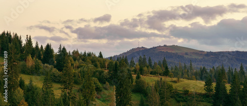 Panoramic view of Carpathian mountains pine forest after sunset with cloudy sky