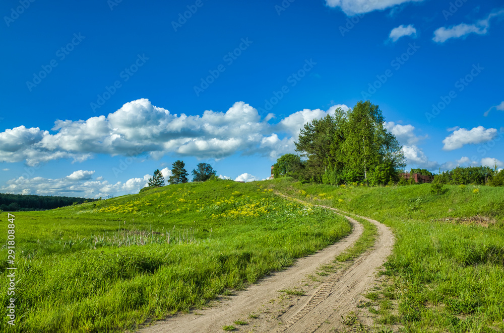 Sunny day, clear sky, meadows and vegetation. Nature in the summer. Aleksino village in the Vladimir region, Russia