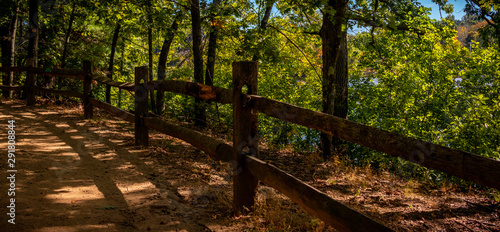 old fences in the forest with green trees