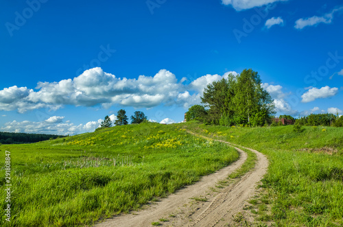 Sunny day, clear sky, meadows and vegetation. Nature in the summer. Aleksino village in the Vladimir region, Russia