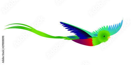  green bird, quetzal, cute cartoon