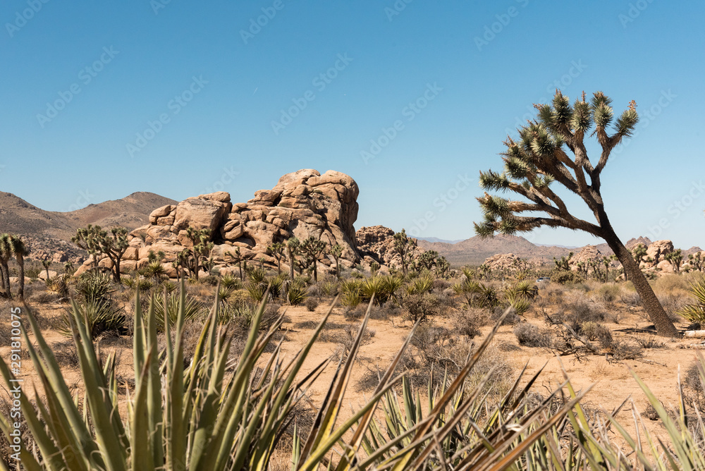 Stones at the Joshua Tree NP 02 Stones at the Joshua Tree NP 02