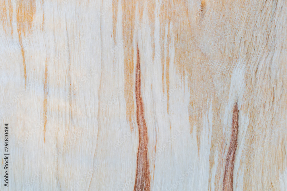 Textural image of the fibers of the felled and split logs Textural image of the fibers of the felled and split logs