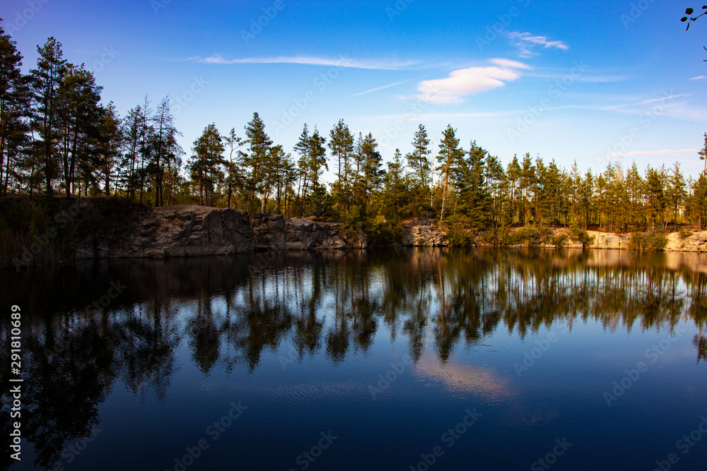 reflection of trees in water