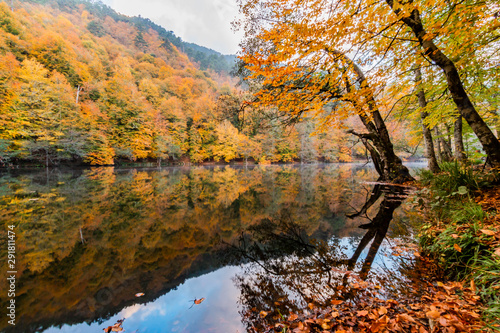 Bolu Yedigoller National Park, Turkey