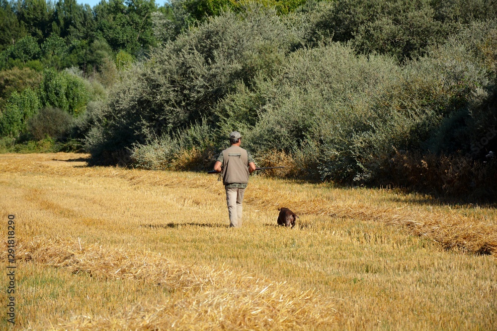 cazador cazando con un perro de caza en un día soleado cazador cazando con un perro de caza en un día soleado