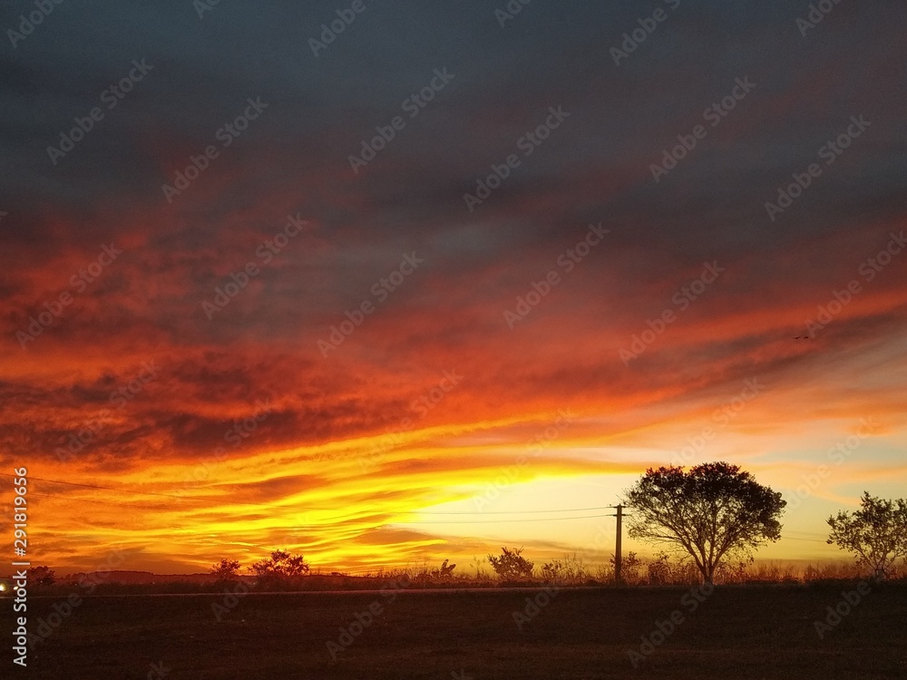 sunset over field