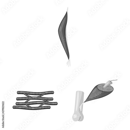 Vector illustration of human and body symbol. Set of human and cells stock symbol for web.
