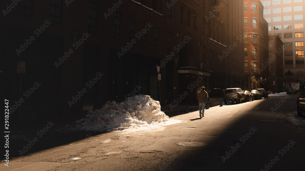 Fototapeta premium In the Light