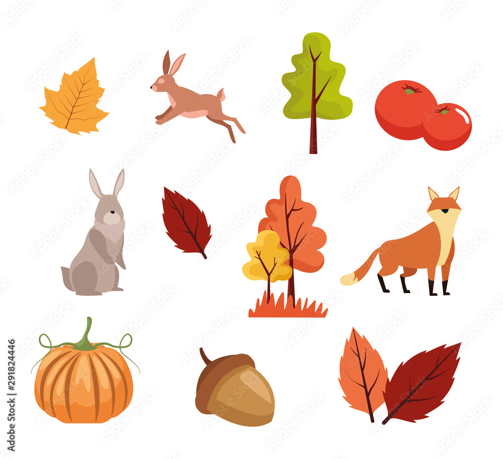 bundle of autumn season icons bundle of autumn season icons