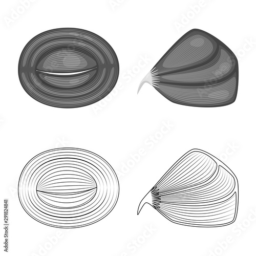 Vector illustration of fiber and muscular symbol. Set of fiber and body vector icon for stock.