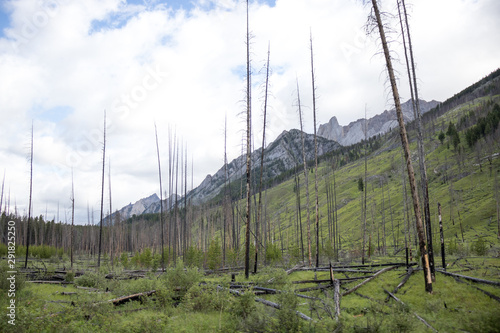 Forest fire remains in Jasper National Park Canada