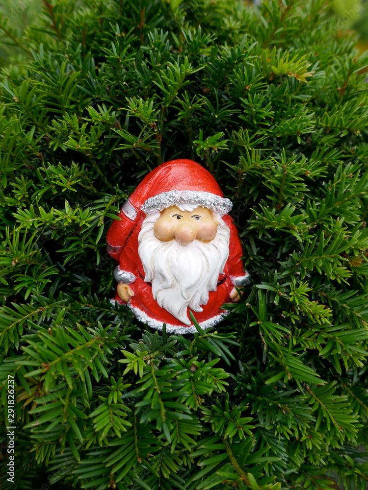 Obraz premium Santa Claus in the fir forest. &nbsp;A cute little garden gnome in Santa Claus costume hides in the forest between fir branches. (Not copyrighted) 