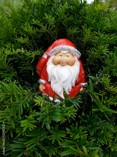 Santa Claus in the fir forest.  A cute little garden gnome in Santa Claus costume hides in the forest between fir branches.  (Not copyrighted) 